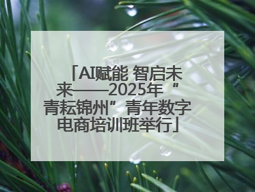 AI赋能 智启未来——2025年“青耘锦州”青年数字电商培训班举行